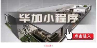 畢加邂逅小“情人”，那就再愛一次吧